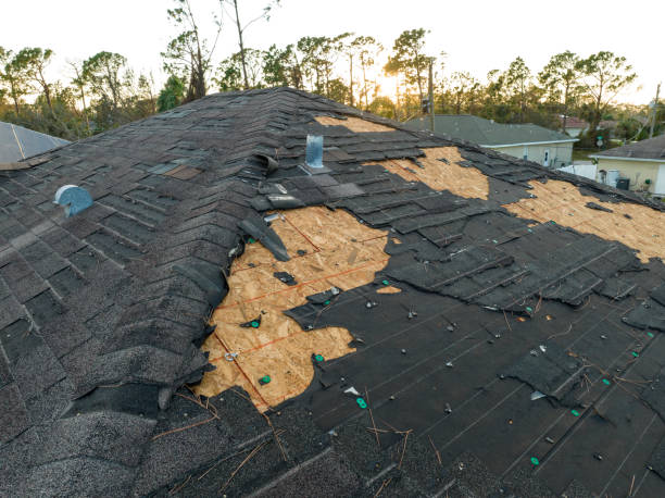 Roof Moss and Algae Removal in Lennox, CA